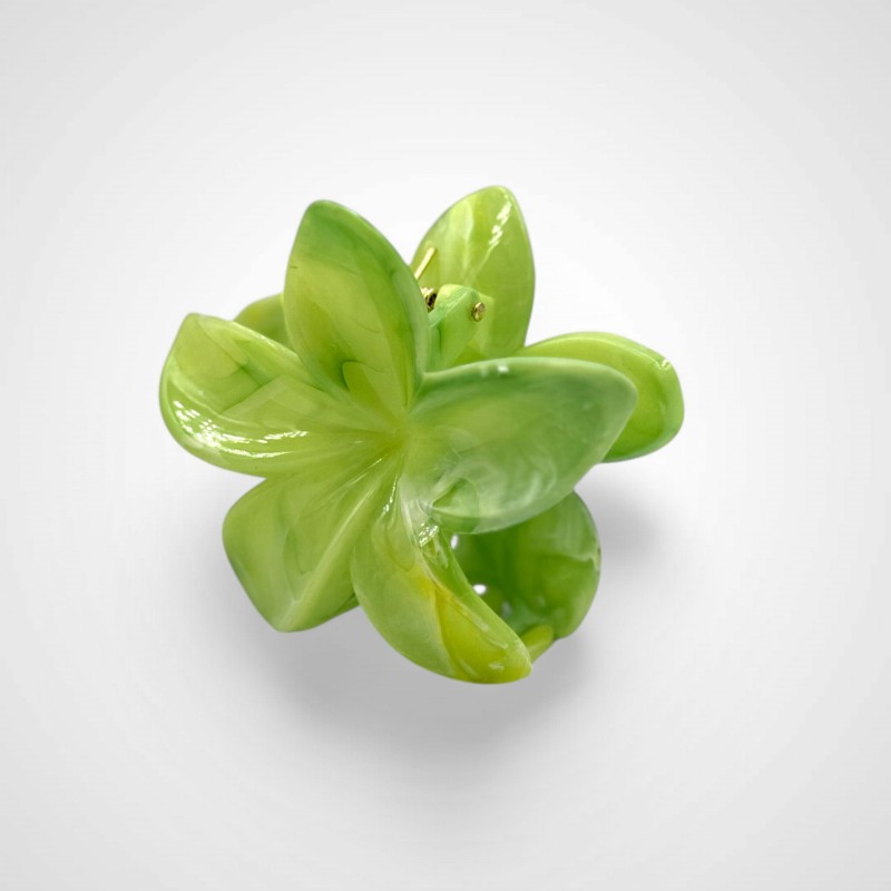 KLAMRA DO WŁOSÓW BAHAMA